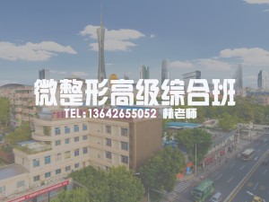 微整形高级综合班